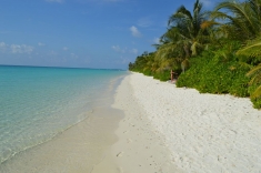 Maldives Beach 5
