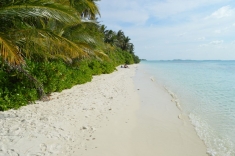 Maldives Beach 6