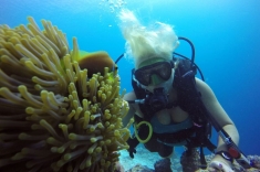 Scuba diving Maldives