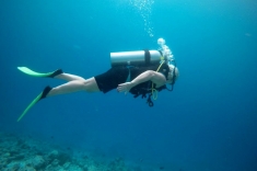 Discovering of the underwater world of Indian ocean