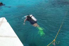 Start of diving experience