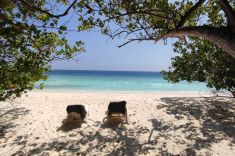bikini-beach-ukulhas-5