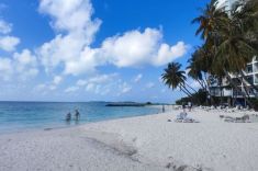 beach