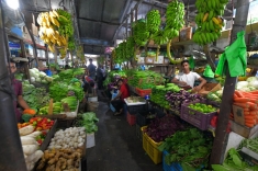 Fruit Market Male Maldives