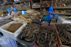 Fish Market Male Maldives