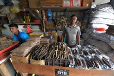 Fish Market Male Maldives