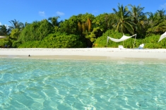 Maldives Beach 1