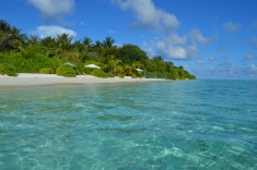 Maldives Beach 3