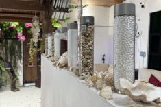 Rasdhoo-Maldives-Guesthouse-7
