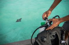 Scuba-diving-Maldives-1