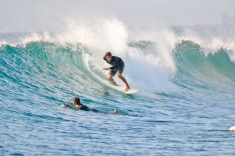 surfing maldives