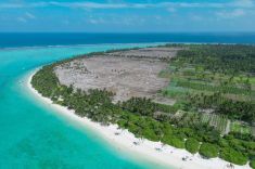 Thoddoo-island-4