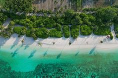 Thoddoo-island-6