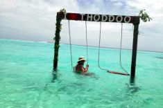 guests-Thoddoo-3