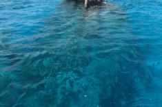 trips-maldives