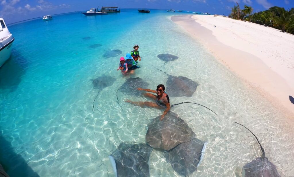 swim with stingrays Maldives