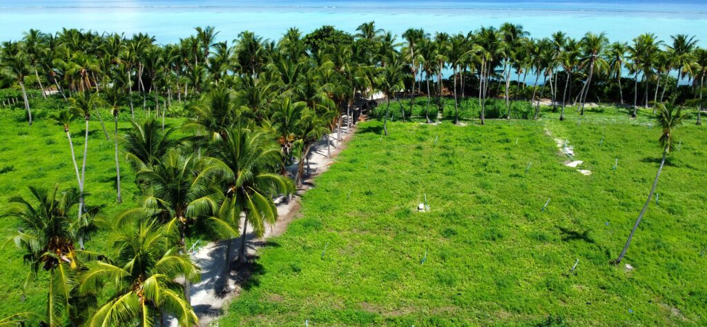 Thoddoo Island Maldives