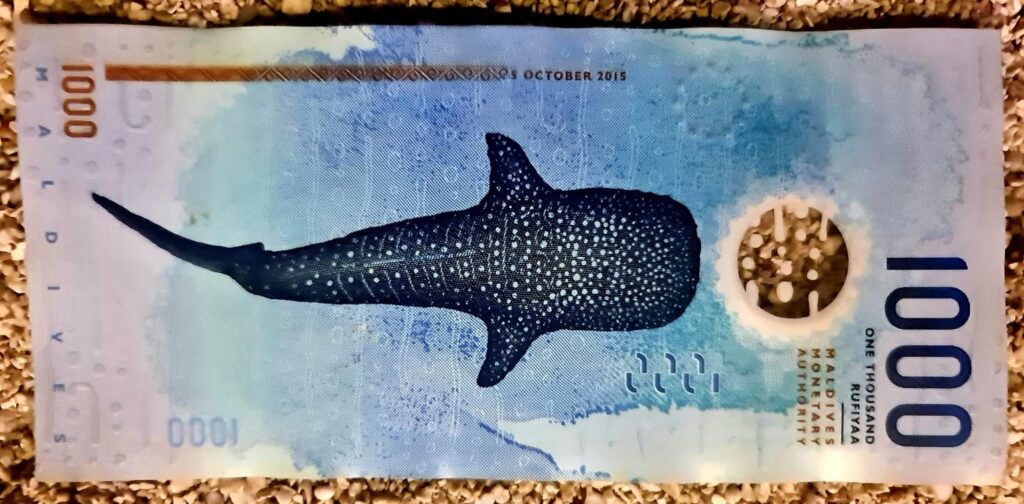 Maldivian money with whale shark